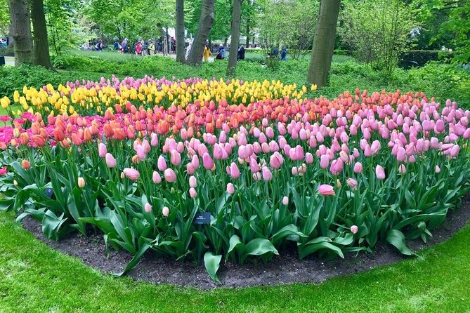 Keukenhof, Zaanse Schans Windmills Private Tour with Lunch - Price and logistics: what you are really paying for