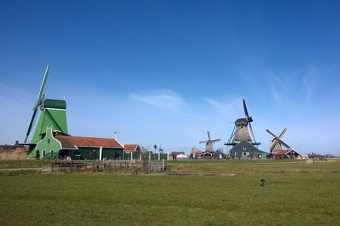 Keukenhof, Zaanse Schans Windmills Private Tour with Lunch - Catharina Hoeve cheese farm: Gouda flavors with context