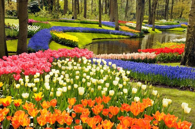 Keukenhof's Tulips and Windmills Small-Group Tour from Amsterdam - Quick hits before you go