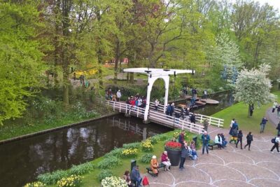 Keukenhof's Tulips and Windmills Small-Group Tour from Amsterdam - Zaanse Schans first: guided history and classic Dutch visuals