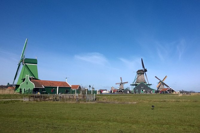 Keukenhof's Tulips and Windmills Small-Group Tour from Amsterdam - Keukenhof Gardens in 3 hours: skip-the-line comfort and crowd-smart pacing