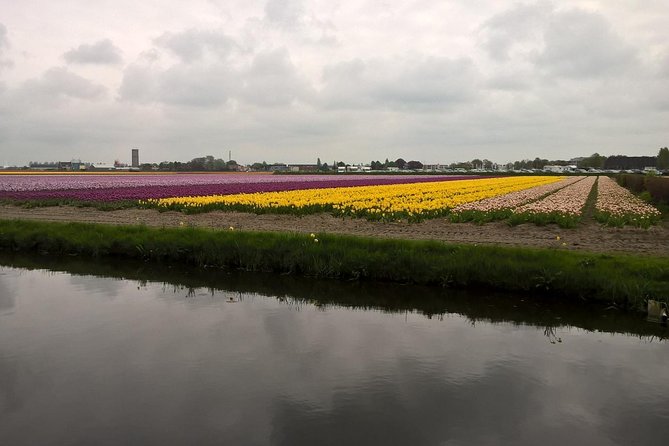 Keukenhof's Tulips and Windmills Small-Group Tour from Amsterdam - Price and value: why $133.08 can make sense (and when it doesn’t)