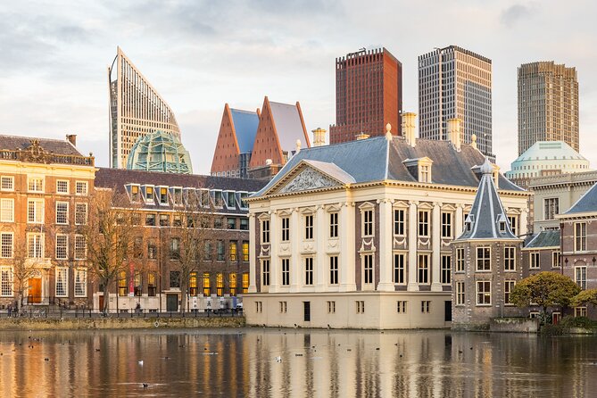 Kinderdijk, The Hague, Mauritshuis Private Tour from Amsterdam - Canal cruise add-on near Central Station (if you choose it)