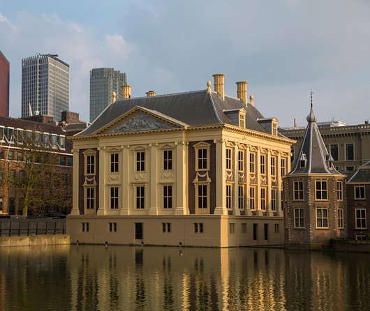 Kinderdijk, The Hague, Mauritshuis Private Tour from Amsterdam - Comfort and logistics: the good parts (and what to watch for)