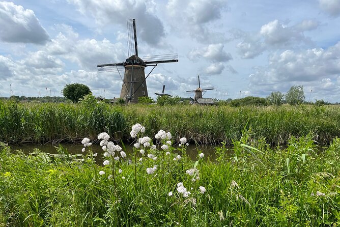 Kinderdijk Windmills, Delft City & Delft Blue Factory Visit - Hotel Pickup, Private Van Comfort, and Bottled Water on Demand