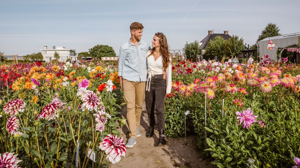 Lisse: Drive-it-Yourself Summer Flower GPS Audio Tour - Key highlights at a glance