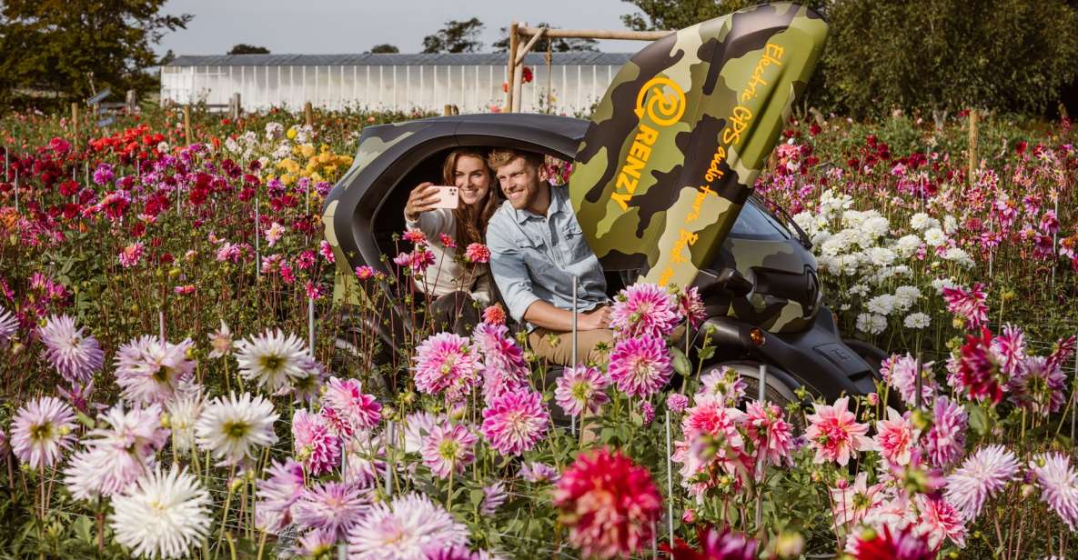 Lisse: Drive-it-Yourself Summer Flower GPS Audio Tour - Renault Twizy vs. bus tours: why this format works
