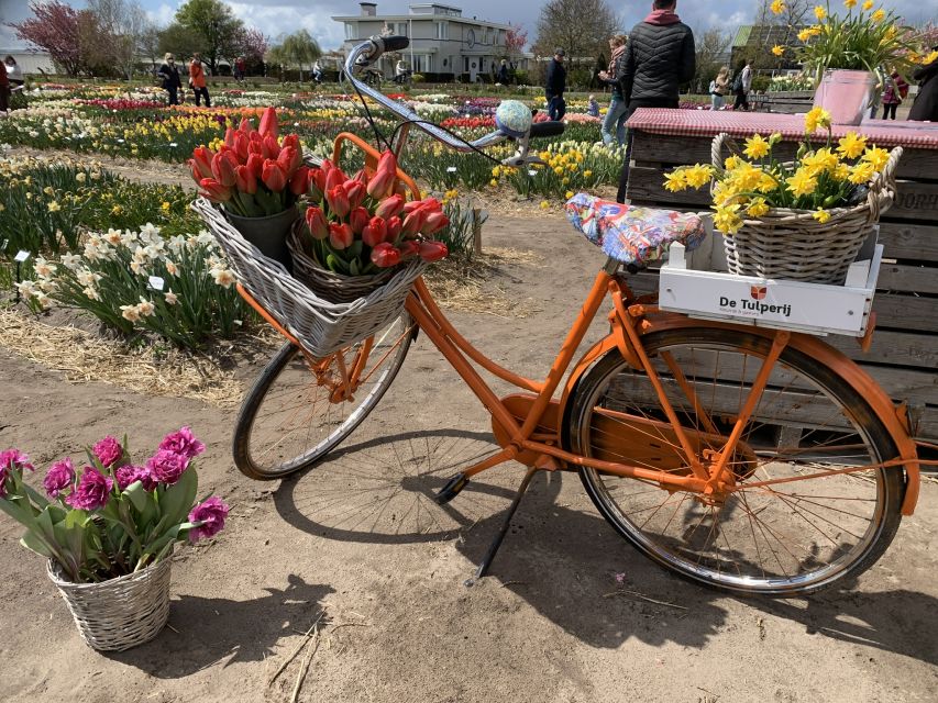 Lisse: Enjoy the Tulip Fields by Bike with a Local Guide! - Small but important details that affect your day