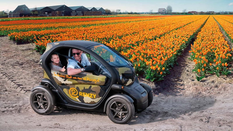 Lisse: Self-Guided Tulip Fields GPS Audio Tour - Why This Electric Twizy Tour Feels Different From Keukenhof