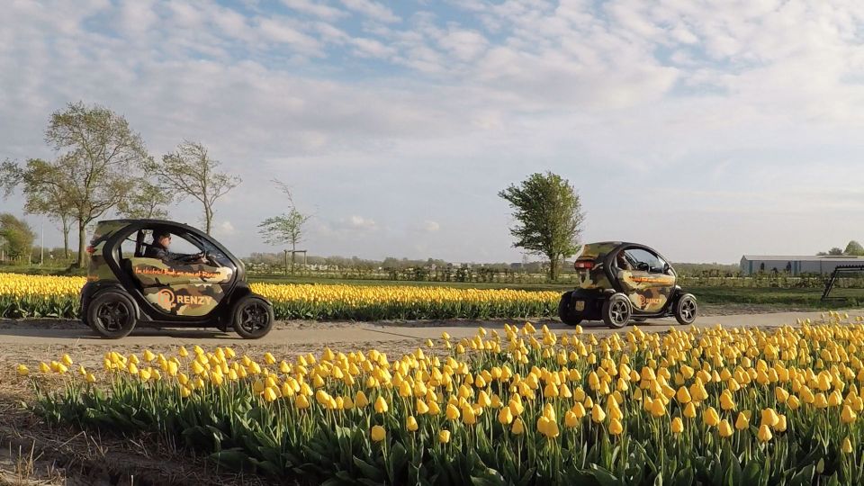 Lisse: Self-Guided Tulip Fields GPS Audio Tour - What to Bring (and What Will Get You Turned Away)