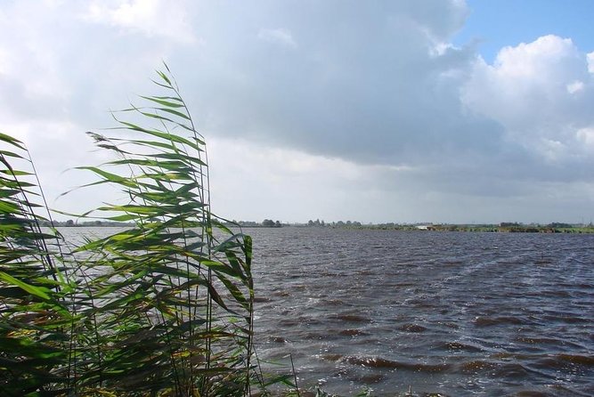 Off the beaten paths Dutch Country Side Private Tour in Jaguar - Waterland: the hour-long stretch for birds, water, and small roads