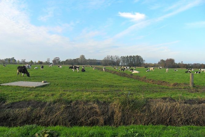 Off the Beaten Paths Dutch Landscape Private Tour 1/2 day Jaguar - Durgerdam, Katwoude, and Zuiderwoude: the dike drive that feels like a gift