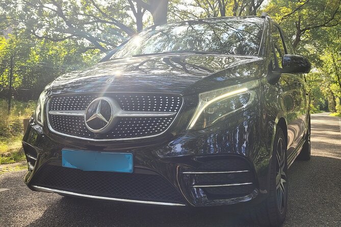 Private Arrival Transfer: Schiphol Airport Amsterdam - Meet Your Driver Fast at Schiphol (and why that matters)