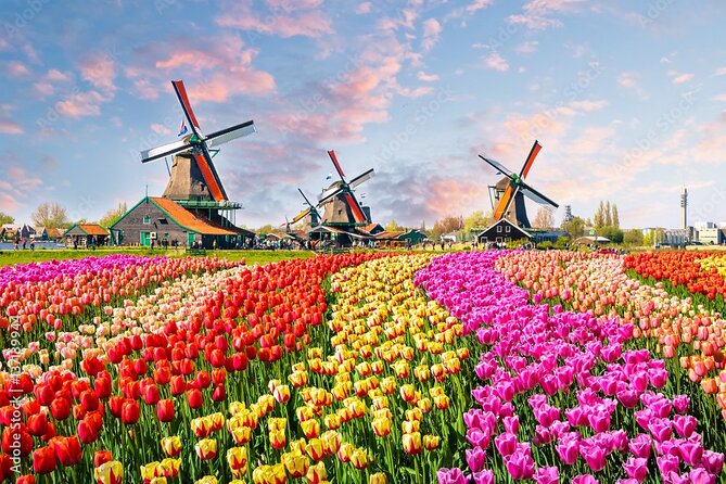 Private Countryside Tour From Amsterdam - Key Things That Make This Day Trip Work