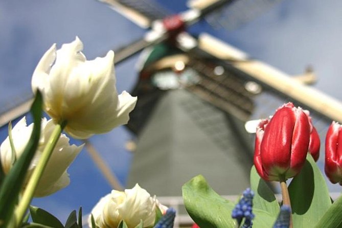 Private Day Tour to Keukenhof Gardens - from Amsterdam/Rotterdam - Price and Value: What $23 Really Means for Your Day
