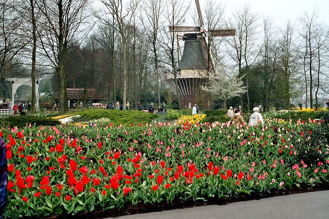 Private Day Trip from Amsterdam to Keukenhof with Entrance Tickets - Pickup from Your Amsterdam Hotel (and Beyond)