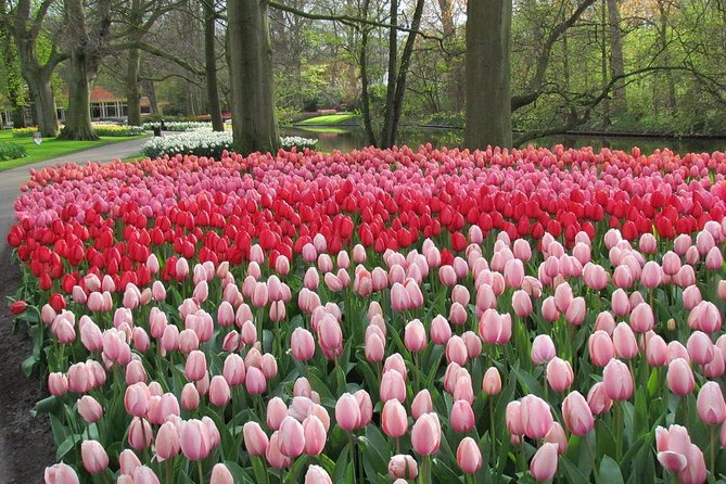Private Day Trip from Amsterdam to Keukenhof with Entrance Tickets - The Keukenhof Visit: How Those 4 Hours Can Feel