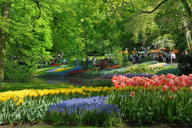 Private Day Trip from Amsterdam to Keukenhof with Entrance Tickets - Lunch and That Optional Tulip Farm Stop