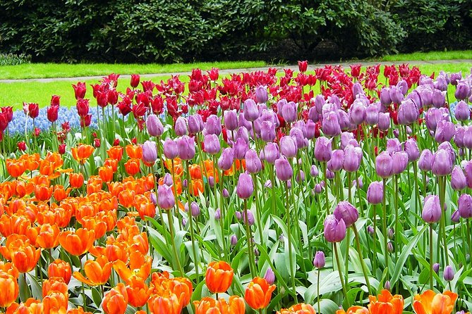 Private Day Trip from Amsterdam to Keukenhof with Entrance Tickets - Queue-Jump Tickets: Time Saved at the Gate
