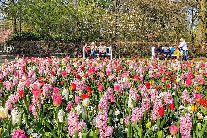 Private Day Trip to Keukenhof Gardens with Entrance Tickets - Private day trip from Amsterdam: what 6 hours really buys you