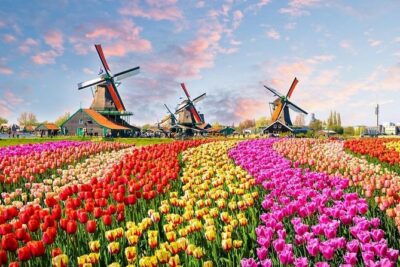 Private Day Trip to Zaanse Schans, Volendam & Marken from Amsterdam - Your day in 6 hours: how the timing feels on the ground