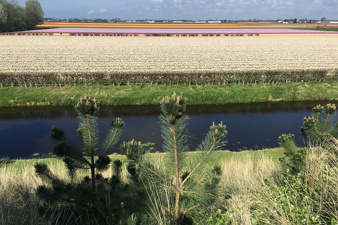 Private daytour from Amsterdam into the Countryside - What’s included (and what you’ll likely pay extra)