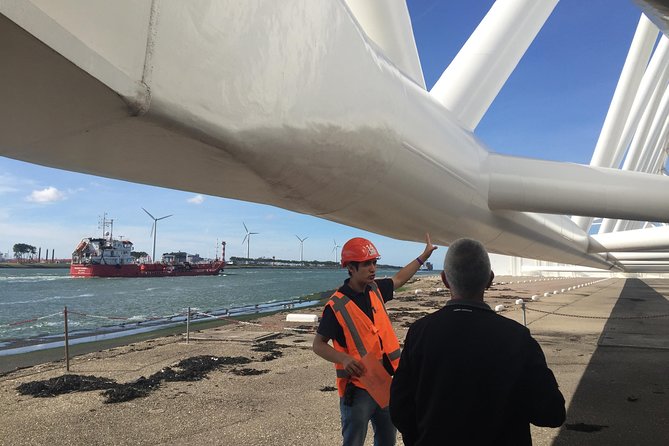 Private Guided Full-Day Customizable Tour of Holland from Amsterdam - Windmills, Pumping Stations, and the Engineering Dutch Love