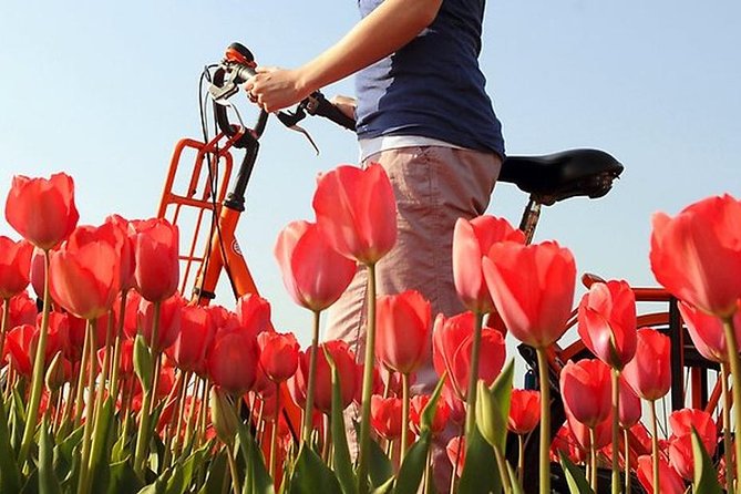 Private Guided Full-Day Customizable Tour of Holland from Amsterdam - Towns Beyond the Canals: Deventer, Edam, Delft, and Delft Blue