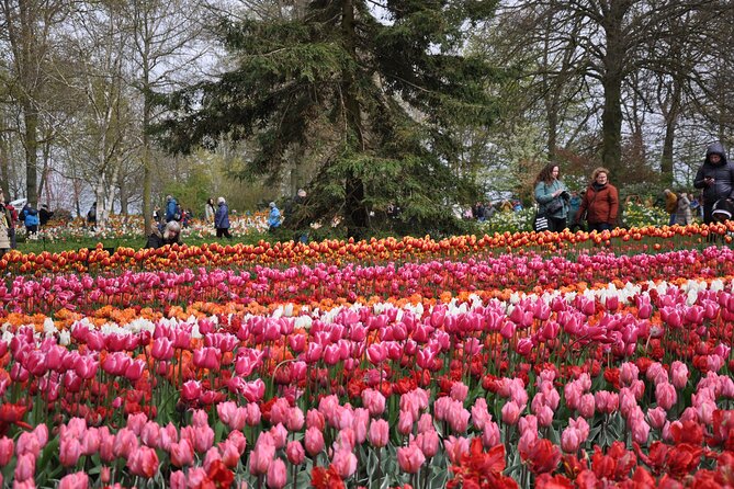 Private Guided Keukenhof Gardens and Zaanse Schans Tour - Molen De Kat, the paint mill: a windmill stop with a climb