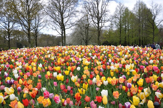 Private Guided Keukenhof Gardens and Zaanse Schans Tour - Zaanse Schans: preserved houses, chocolate, and a working-windmill feel