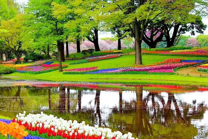 Private Half-Day Trip From Amsterdam to The Tulip Fields in Keukenhof - What the Half-Day Schedule Really Looks Like