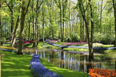 Private Half-Day Trip From Amsterdam to The Tulip Fields in Keukenhof - The Driver, the Car, and the Value of “Private”