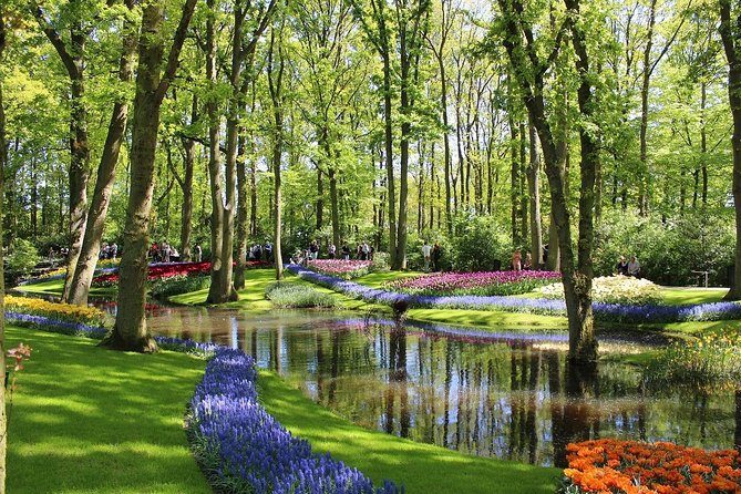 Private Half-Day Trip From Amsterdam to The Tulip Fields in Keukenhof - The Driver, the Car, and the Value of “Private”