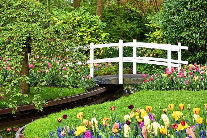 Private Keukenhof Gardens and Tulip Fields Tour from Amsterdam - Price and value: what you’re really buying for about $379