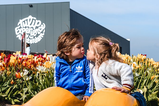 Private Keukenhof Gardens and Tulip Fields Tour from Amsterdam - Who should book this private tulip day (and who might not need it)