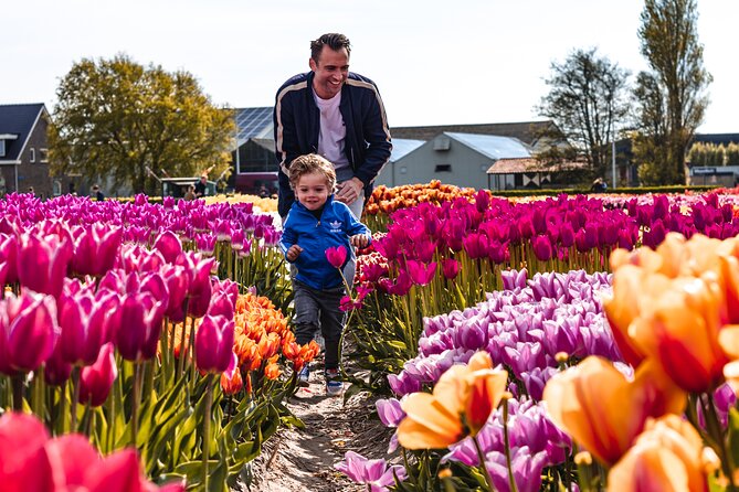 Private Keukenhof Gardens and Tulip Fields Tour from Amsterdam - Should you book this private Keukenhof and Tulip Fields tour?