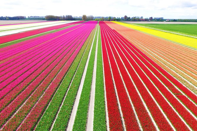 Private Keukenhof Park and Tulip Fields Tour (Skip-The-Line) - Key Highlights You’ll Actually Feel During the Day