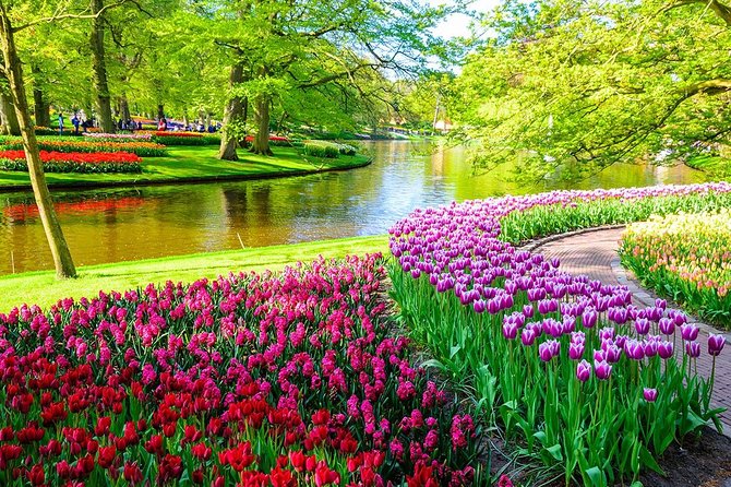 Private Keukenhof Park and Tulip Fields Tour (Skip-The-Line) - The Car Ride: Pickup From Anywhere, Wi-Fi, and Real Comfort