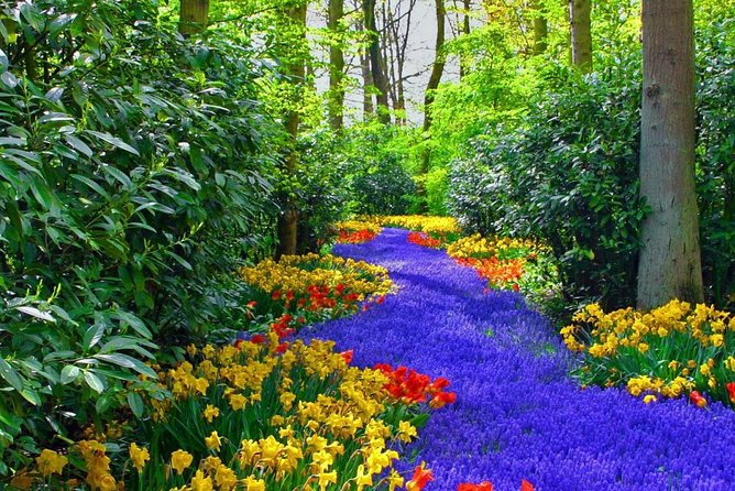 Private Keukenhof Park and Tulip Fields Tour (Skip-The-Line) - Tulip Fields and Windmills: The Stops That Make It Feel Like Spring, Not a Ticket Line