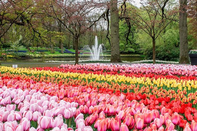 Private Keukenhof Park and Tulip Fields Tour (Skip-The-Line) - Keukenhof Gardens: How to See More Without Feeling Rushed