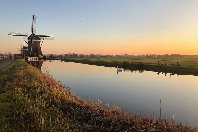 Private tour from Amsterdam, windmills, clogs & cheese.. - Keukenhof in spring: how to plan a bulb day correctly