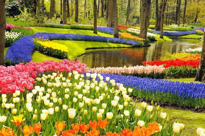 Private Tour to the Keukenhof and Tulip Fields - A Private Tulip Day: What You’re Really Paying For
