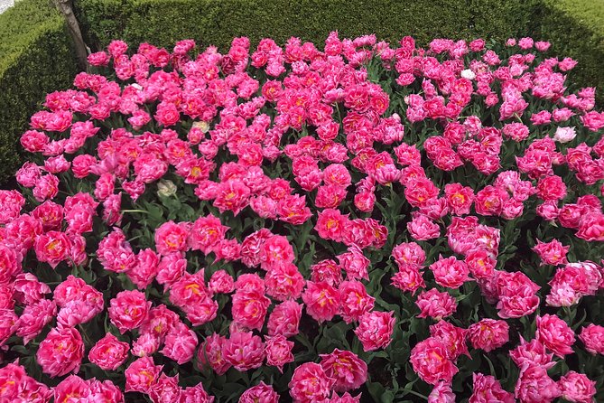 Private Tour to the Keukenhof and Tulip Fields - Price and Value: Is $318.70 Per Person Worth It?