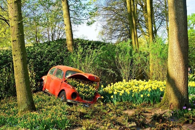 Private Tour to Tulips, Keukenhof, Windmills & Cheese Farm - The driver matters more than you think