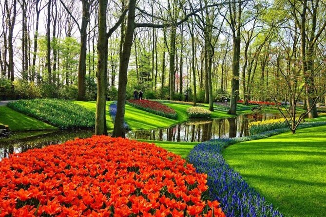Private Tour to Tulips, Keukenhof, Windmills & Cheese Farm - Timing reality: tulips depend on the week you choose