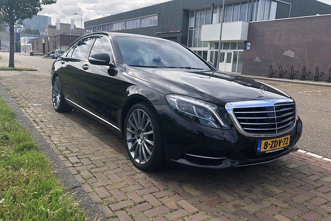 Private Transfer from Amsterdam city center to Rotterdam - Rotterdam drop-off: how to plan what comes next
