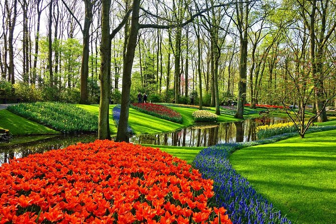 Private Tulip Fields, Windmills and Cheese Tour from Amsterdam - The big idea: a private spring circuit outside Amsterdam