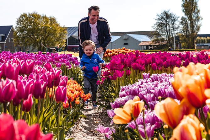 Private Tulip Fields, Windmills and Cheese Tour from Amsterdam - Jacobs Hoeve Cheese Farm by Henri Willig: Gouda, cows, and tasting with options