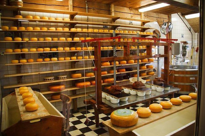 Private Tulip Fields, Windmills and Cheese Tour from Amsterdam - Price and what makes it feel like value (or not)