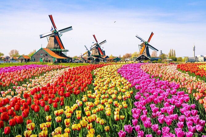 Private Zaanse Schans & Volendam Tour: Windmills, Cheese & Clogs - How the 5 Hours Feel on the Ground